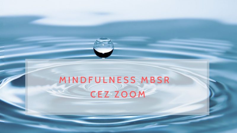 8-týždňový kurz Mindfulness MBSR cez Zoom