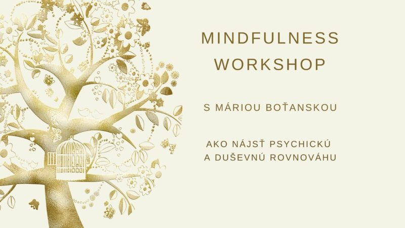 Mindfulness workshop v Bratsilave
