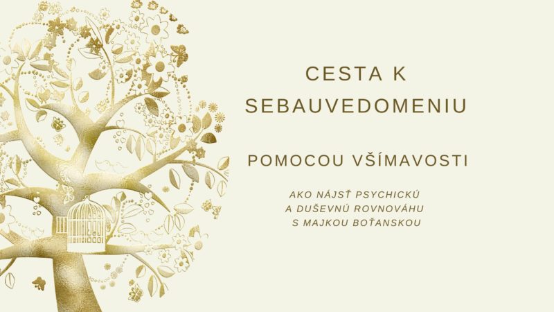 cesta k sebauvedomeniu pomocou všímavosti