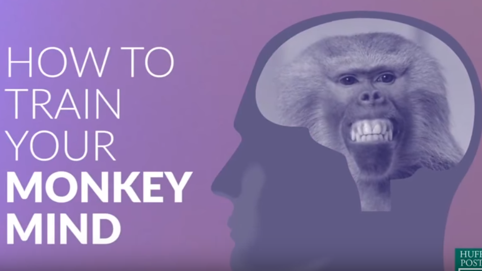 Ako cvičiť opicu v hlave - Ako myslieť pozitívne